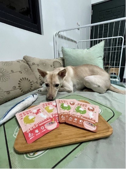試用